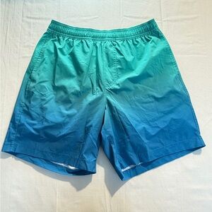 Chubbies Ombre Teal Blue Swim Trunks Men’s Small 7" Inseam Lined